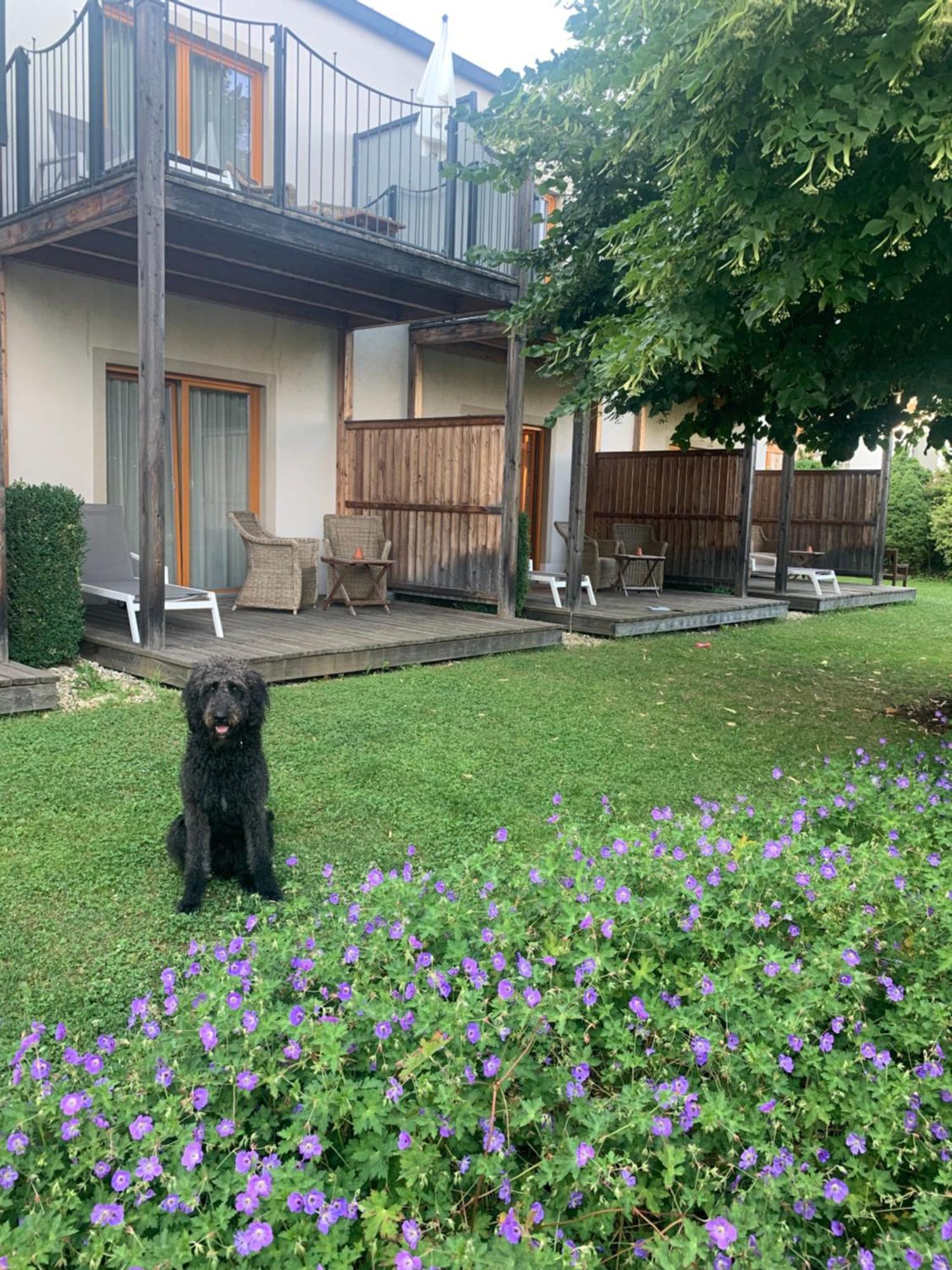 Garten-Hotel Ochensberger Sankt Ruprecht an der Raab Exterior foto